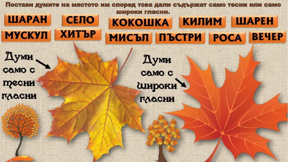 Тесни и широки гласни звукове - 2. клас