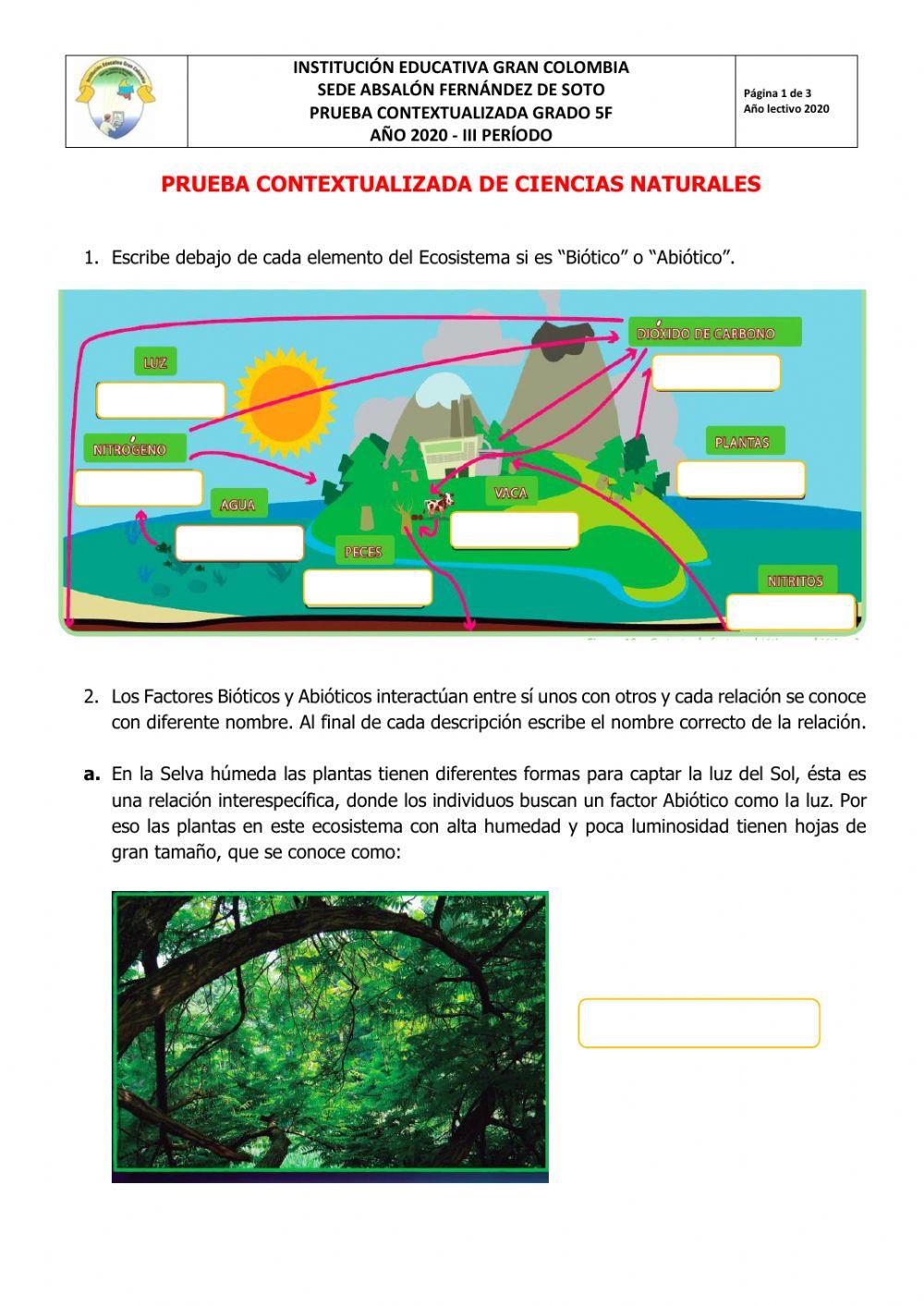 PRUEBA CONTEXTUALIZADA DE CIENCIAS NATURALES. GRADO 5F