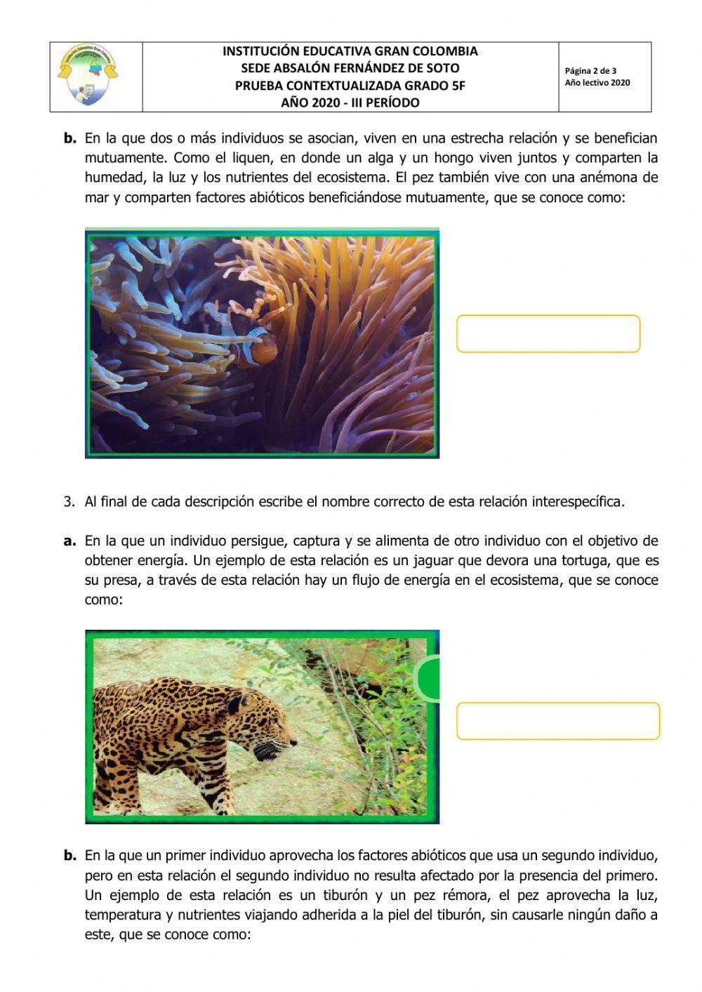 PRUEBA CONTEXTUALIZADA DE CIENCIAS NATURALES. GRADO 5F