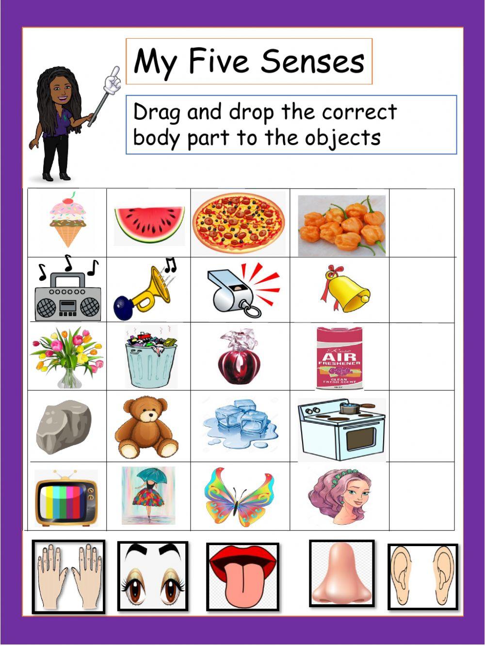 Five Senses interactive activity for Preschool | Live Worksheets