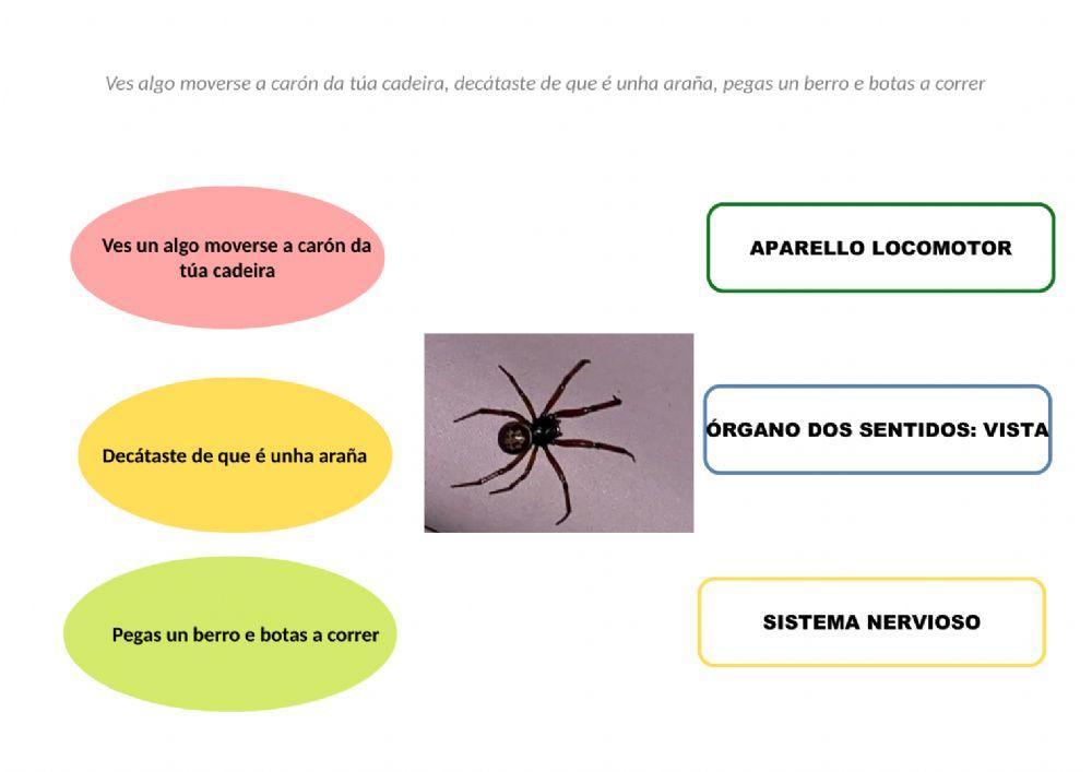 Exemplos función de relación