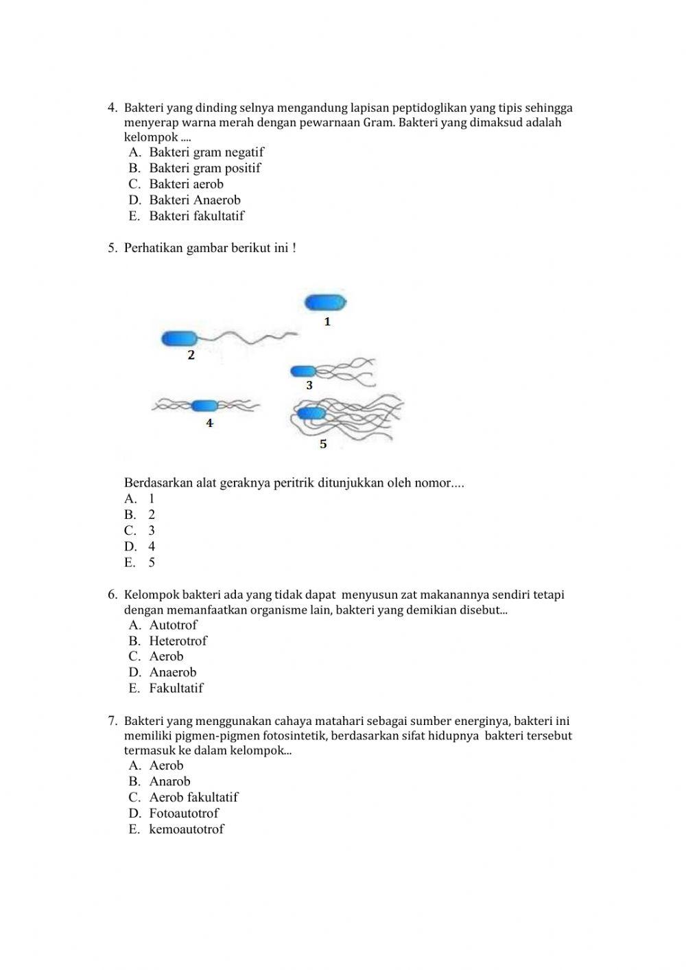 Lkpd-biologi x-bakteri Lkpd-biologi x-bakteri