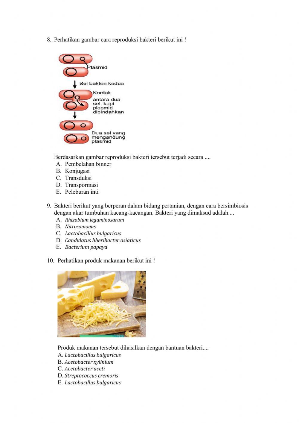 Lkpd-biologi x-bakteri Lkpd-biologi x-bakteri