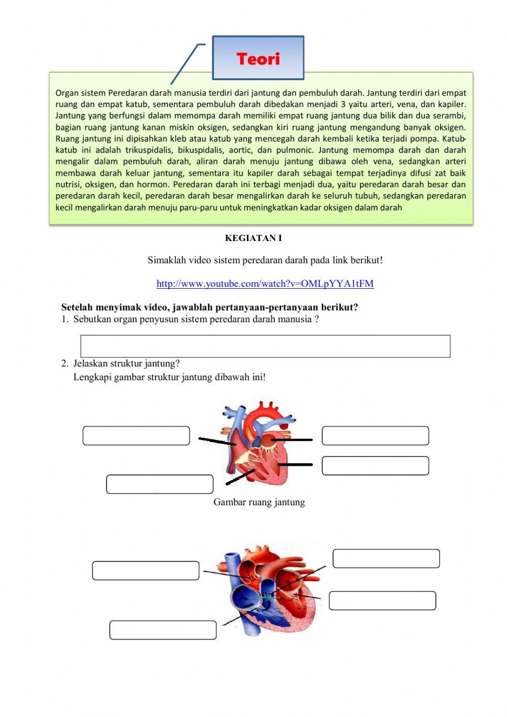LKPD Organ dan Sistem Peredaran Darah