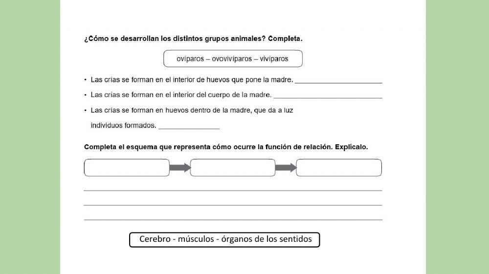 Las funciones vitales de animales y plantas
