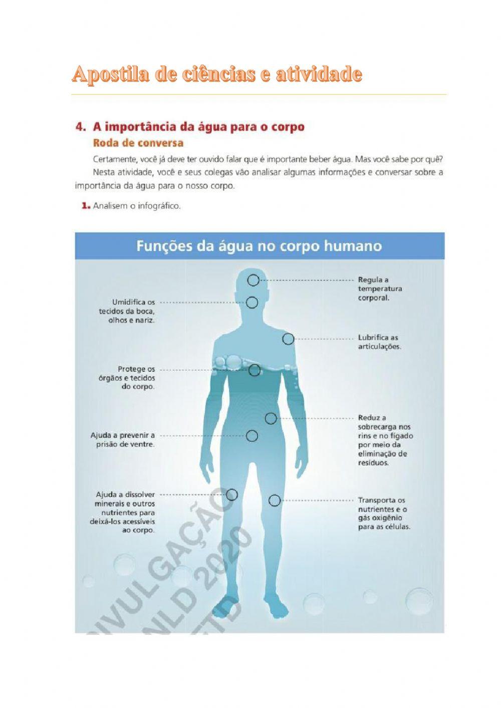 A importância da água para o corpa