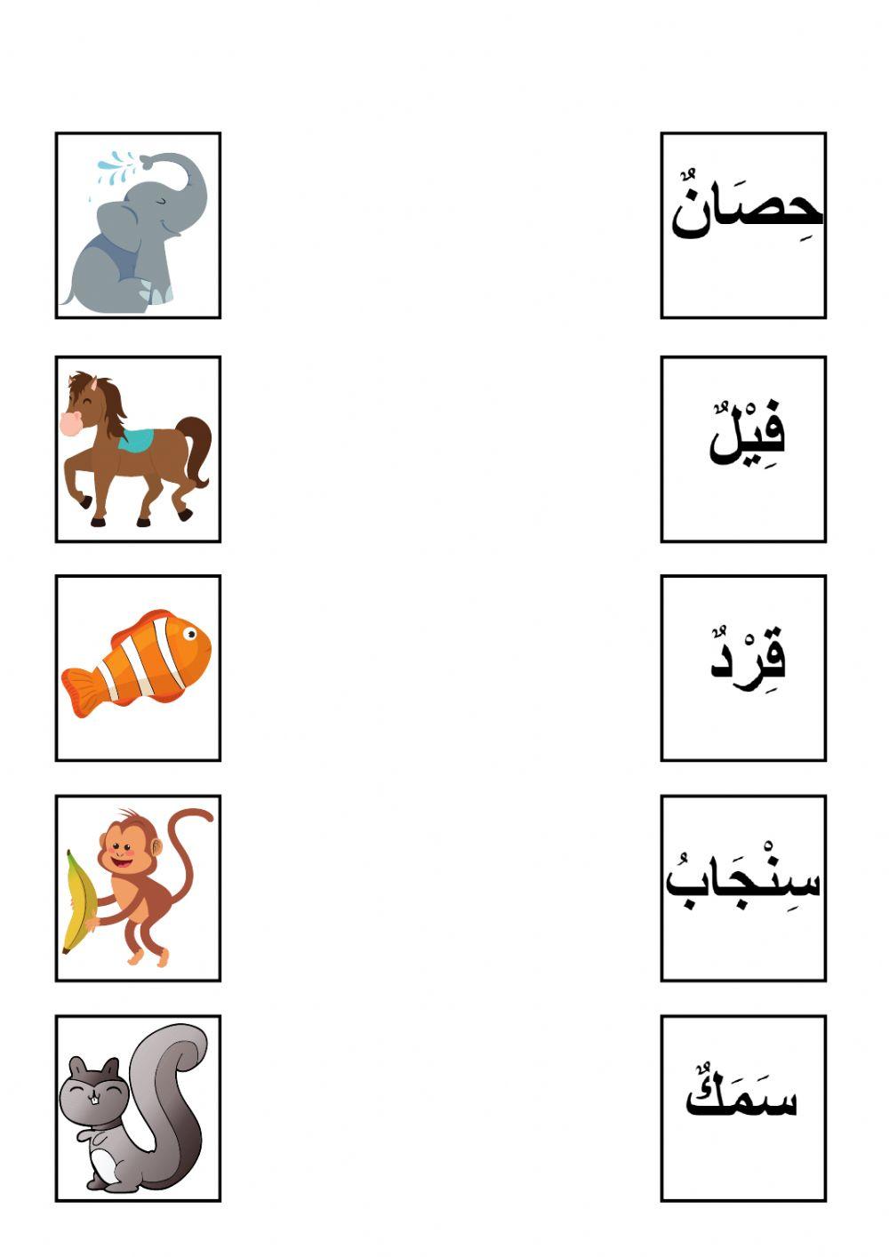 (Haiwan) الْحَيَوَانَاتُ -٢