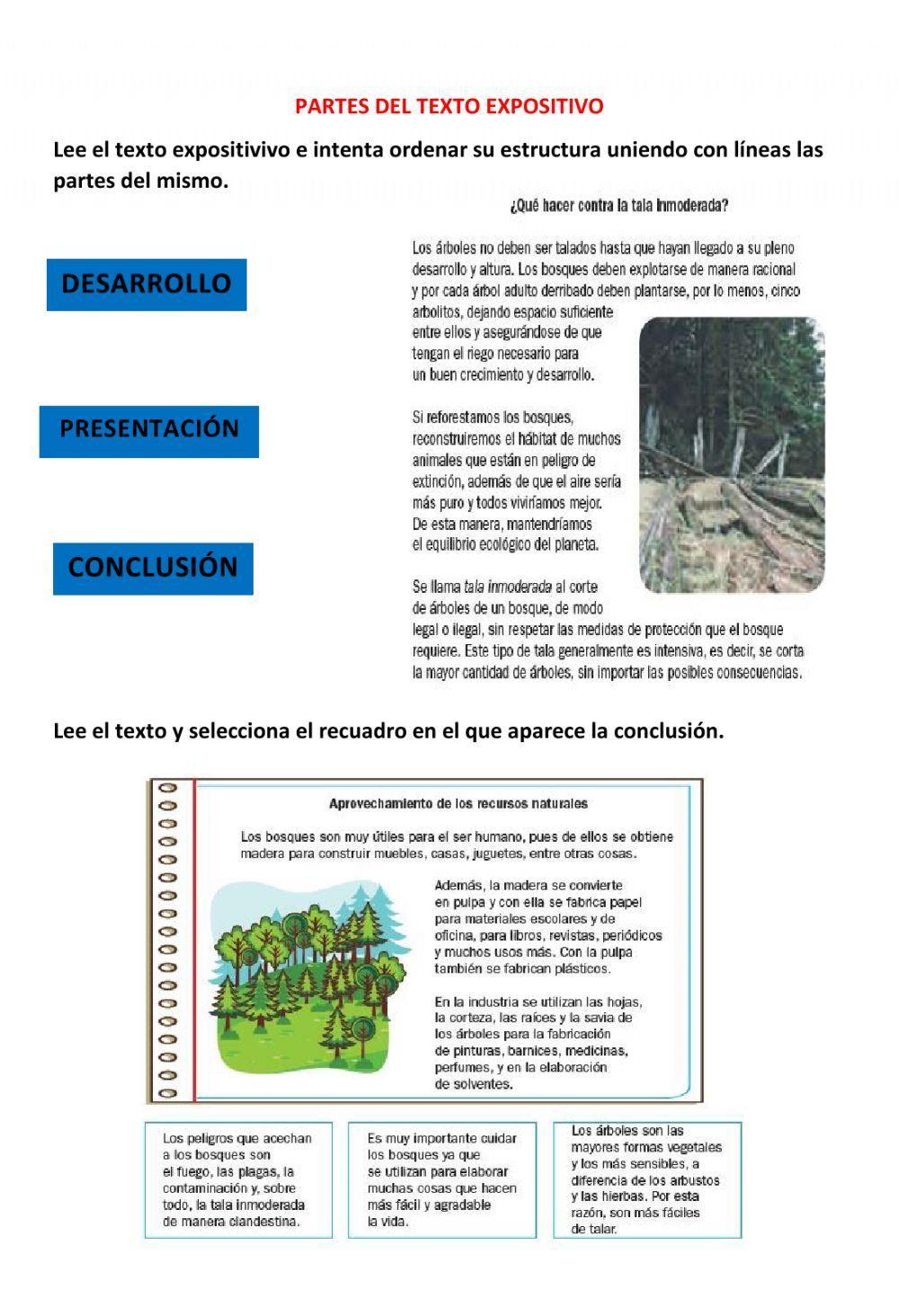 Partes del texto expositivo Partes del texto expositivo