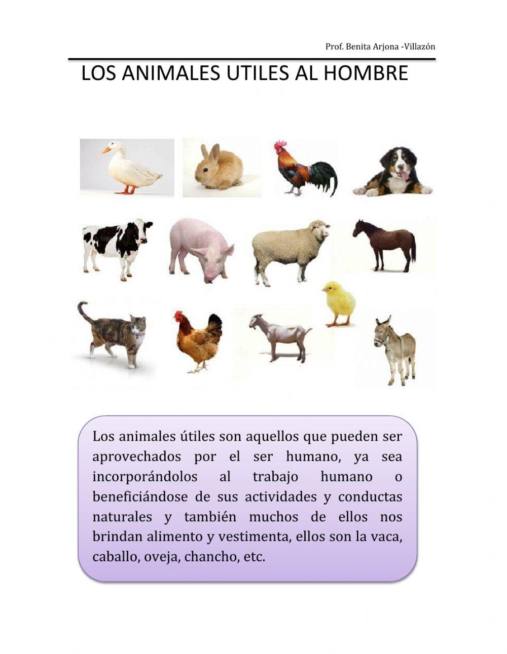 Los animales utiles