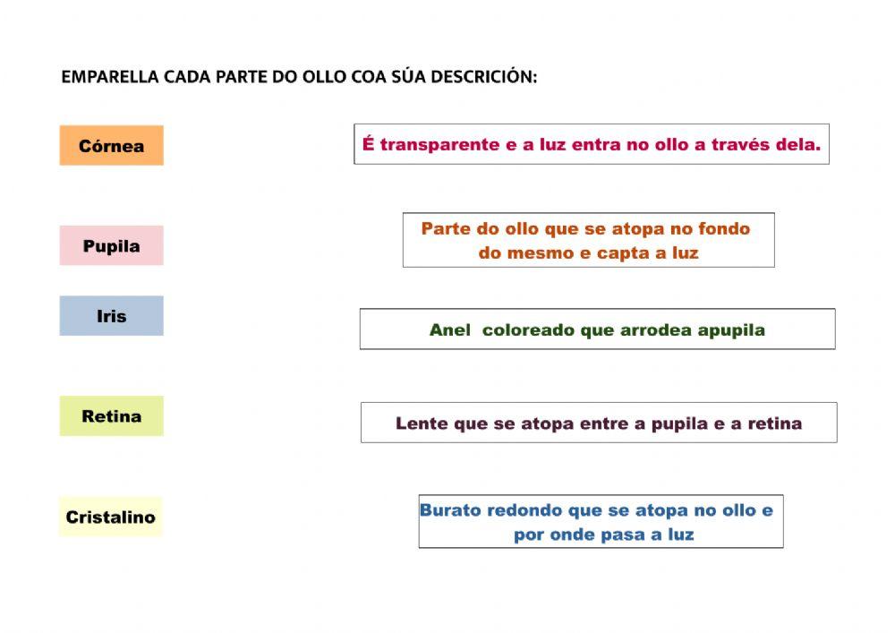 Emparellar partes ollo