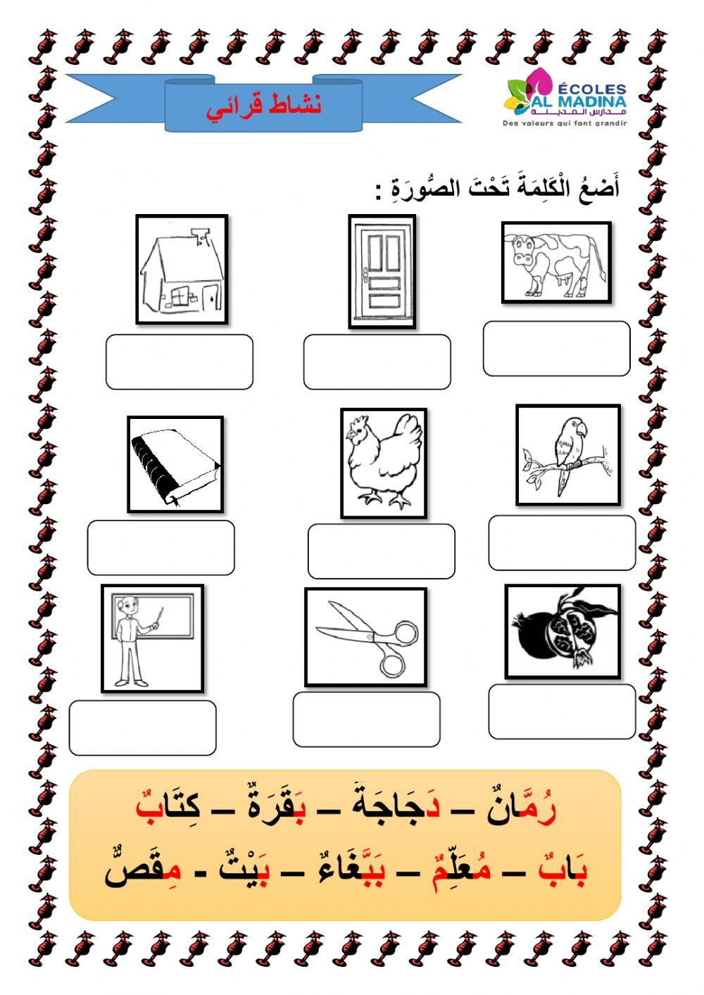 كلمات و صور