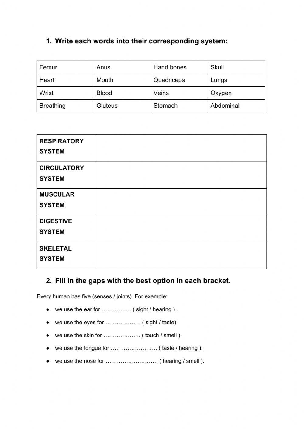 The body systems and senses