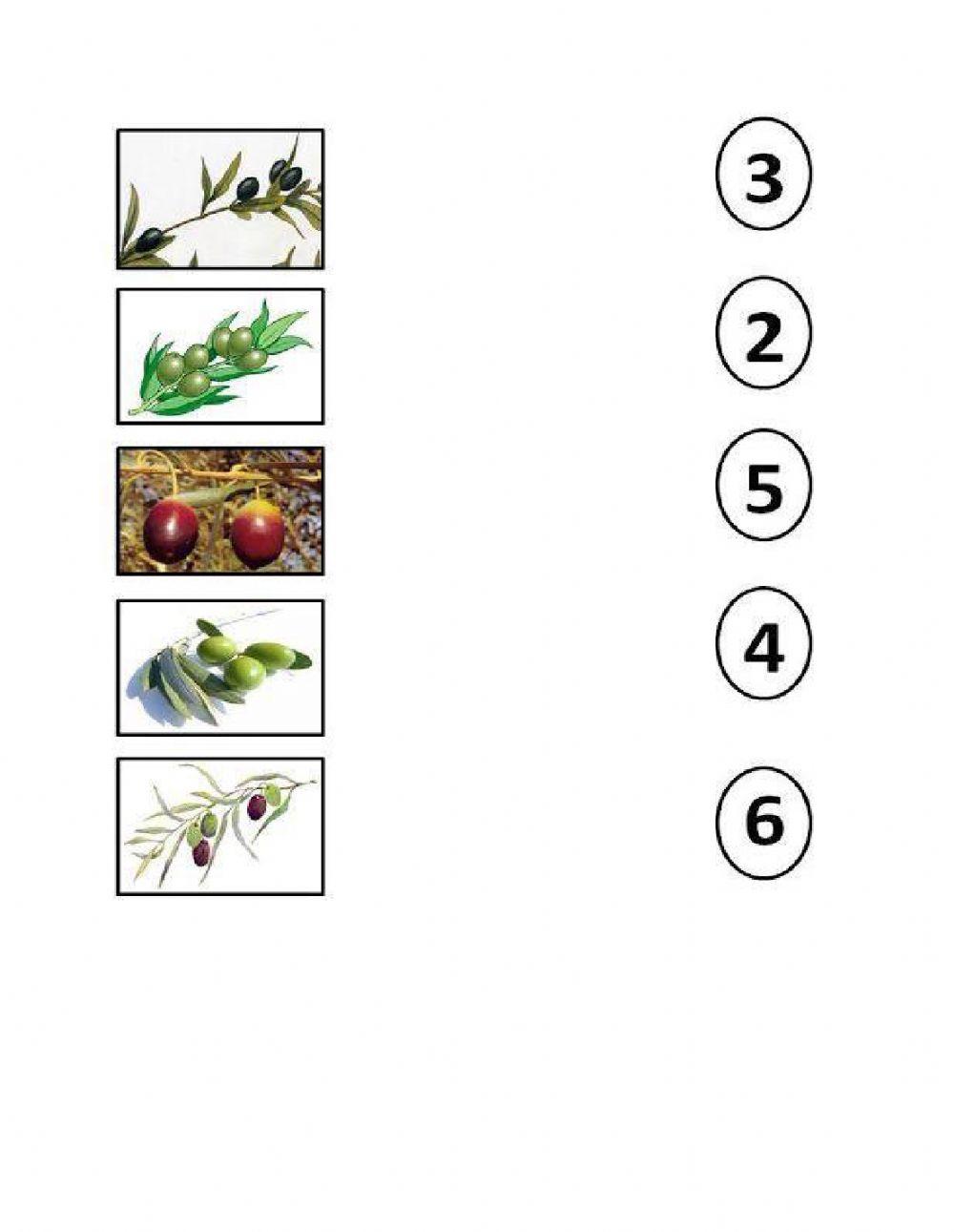 صل خطا من العدد للكمية الملائمة 