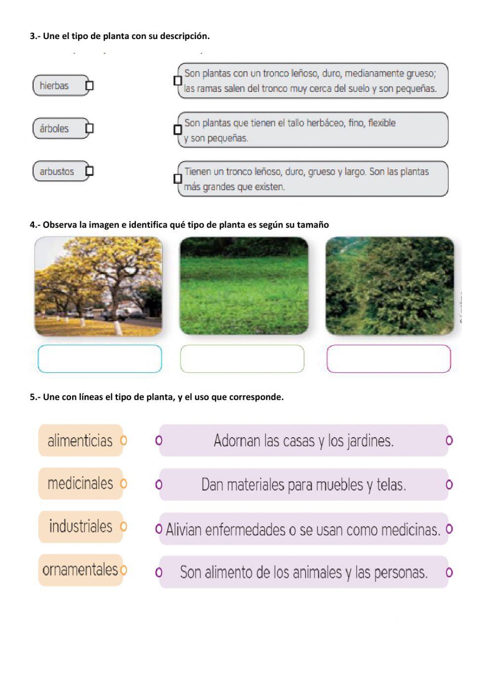 Evaluación primer parcial ccnn