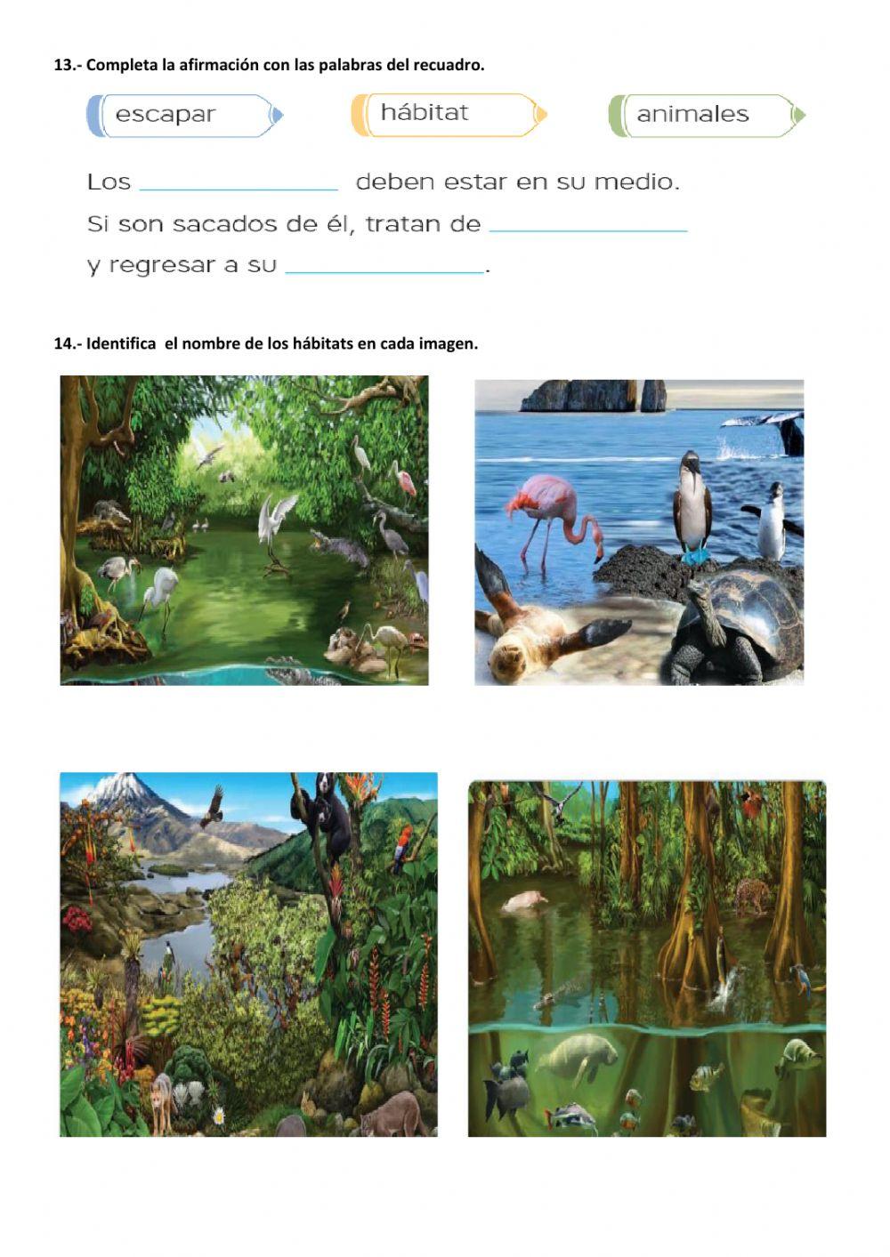 Evaluación primer parcial ccnn