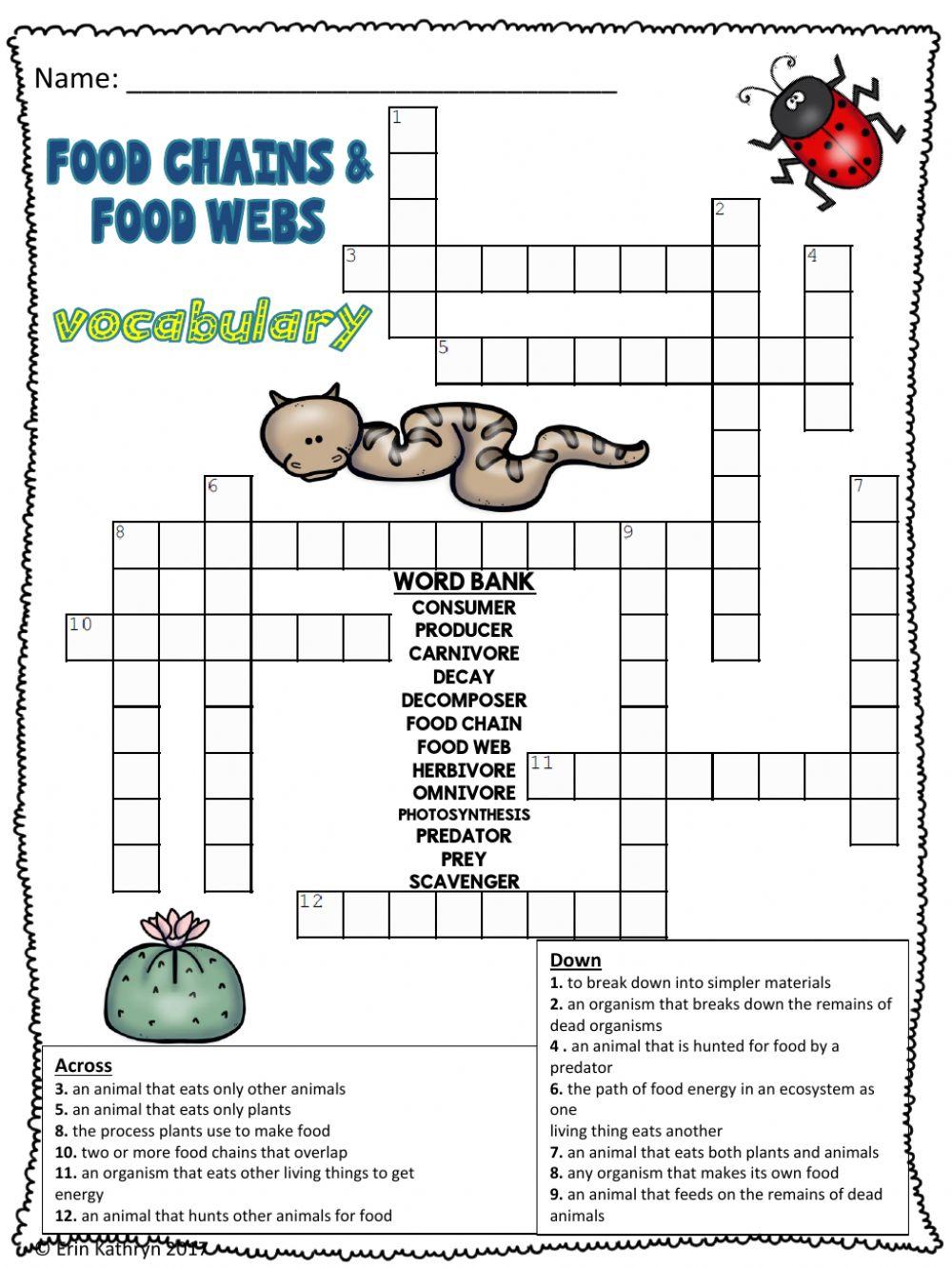 food chain online exercise for Biology Diagrams
