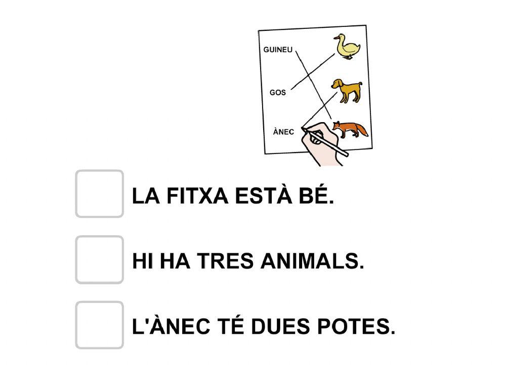 Tria la frase correcta 1