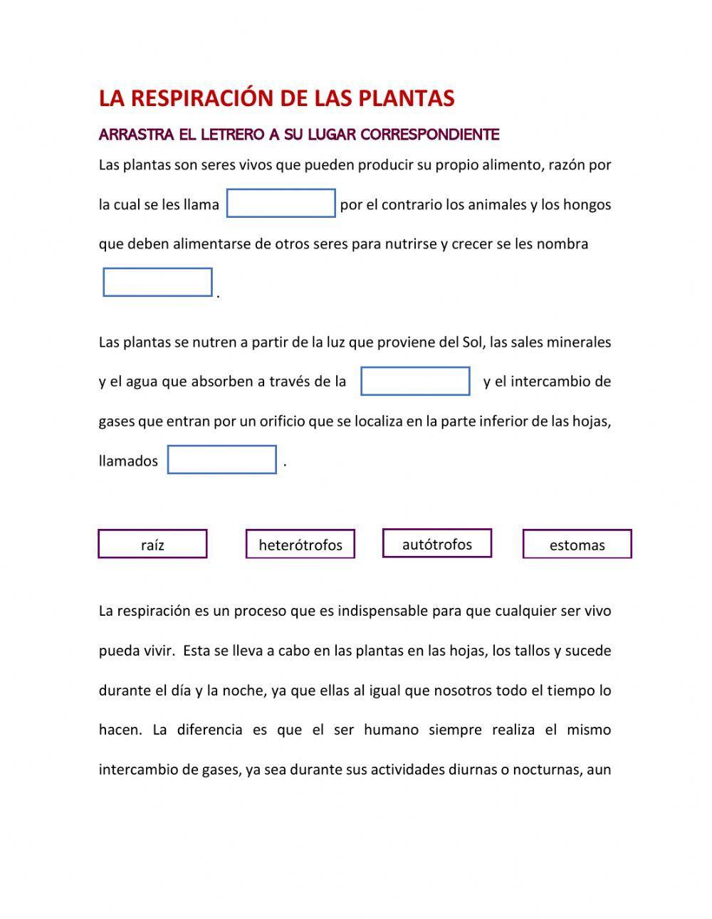 Respiración de las plantas