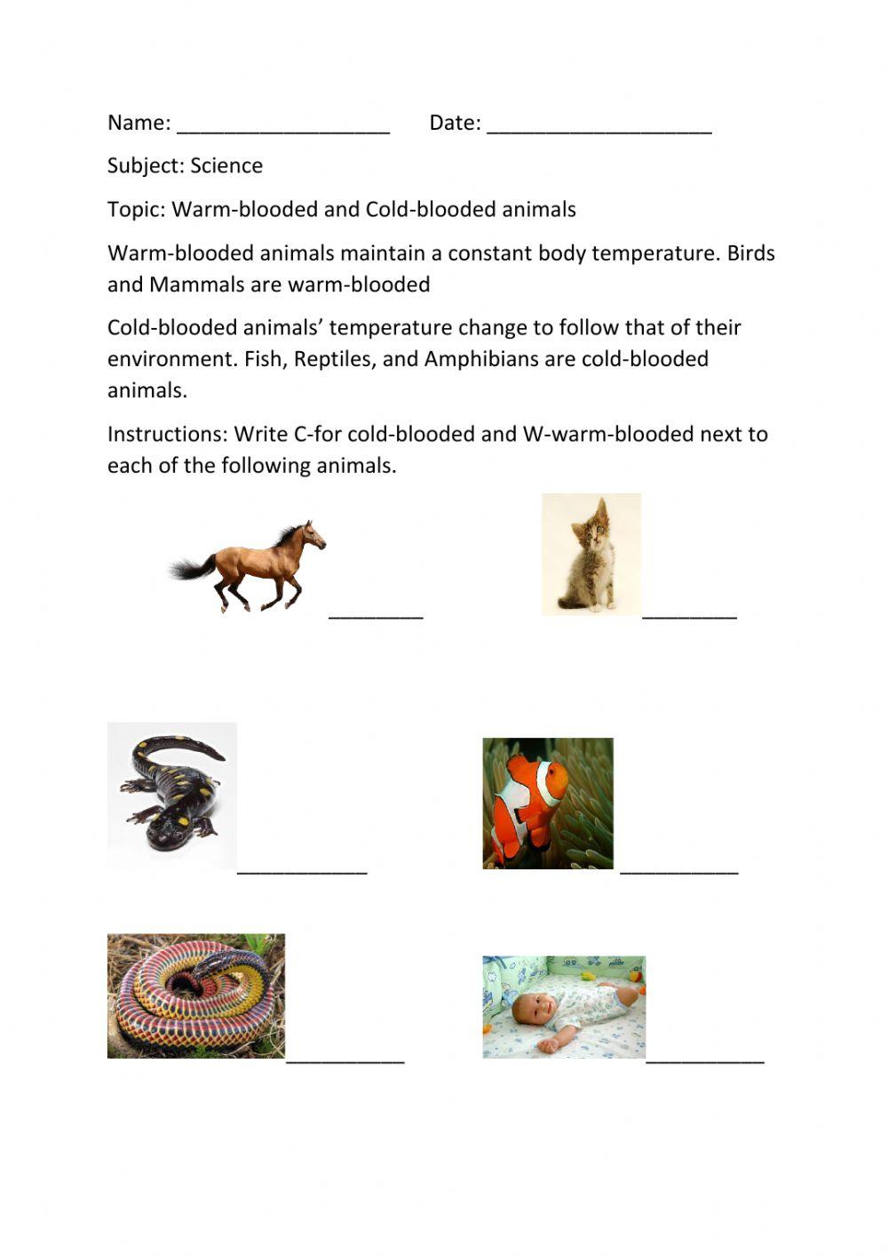 483847 Warm And Cold Blooded Animals AnaJohnMck 483847 Warm And Cold Blooded Animals AnaJohnMck