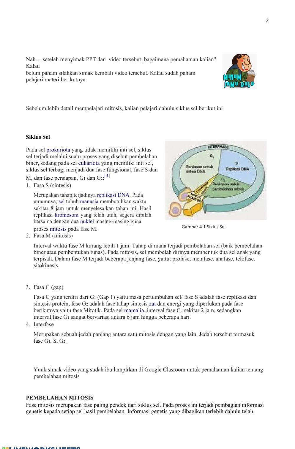 Pembelahan amitosis mitosis