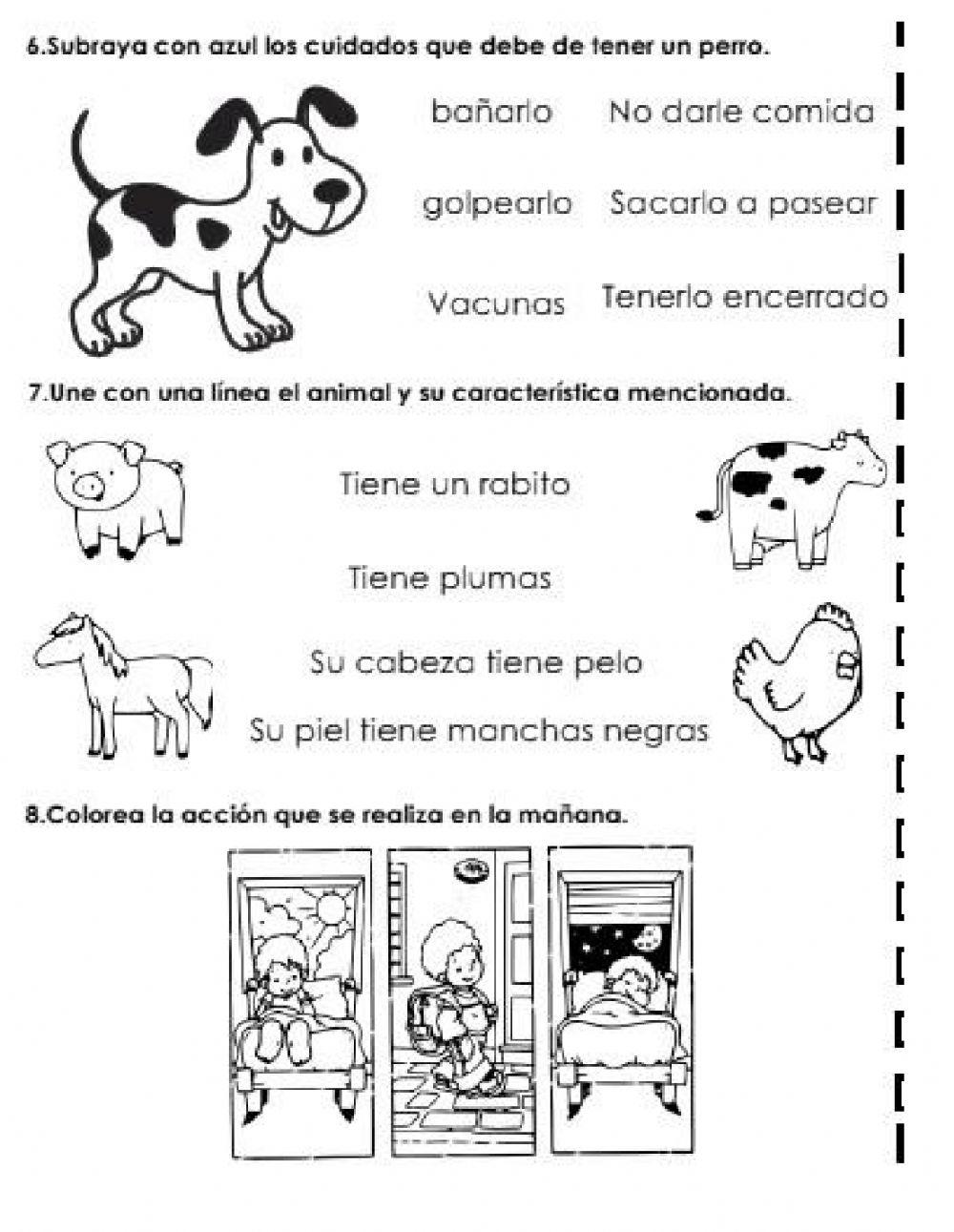Evaluacion trimestre 1 1° conocimiento