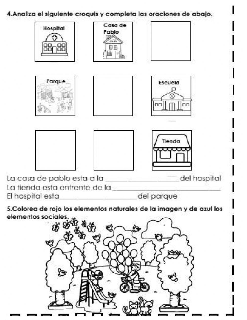 Evaluacion trimestre 1 1° conocimiento