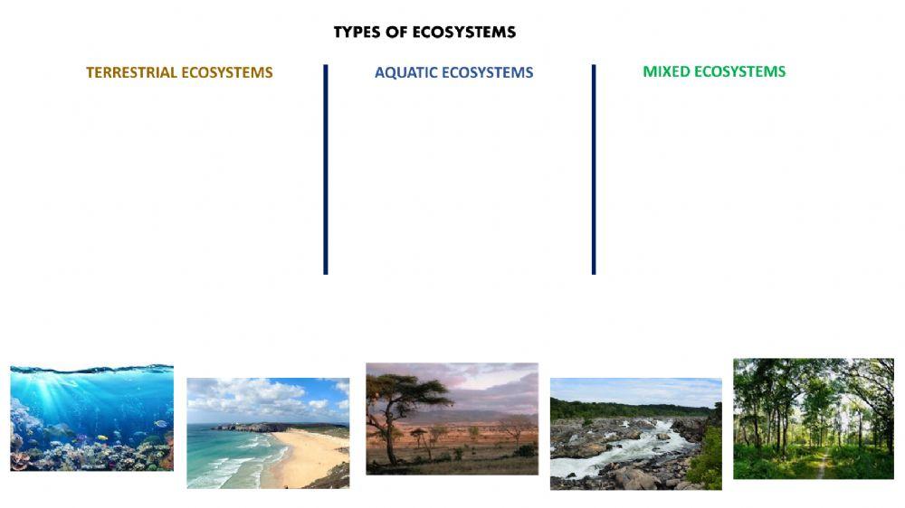 Types of Ecosystems