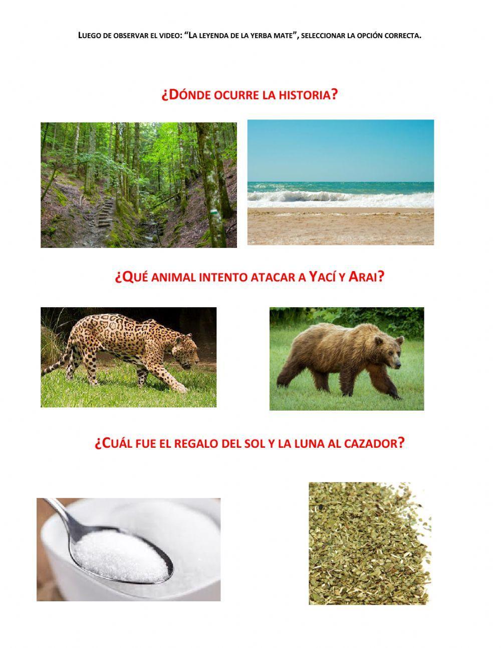 Selecciona la correcta