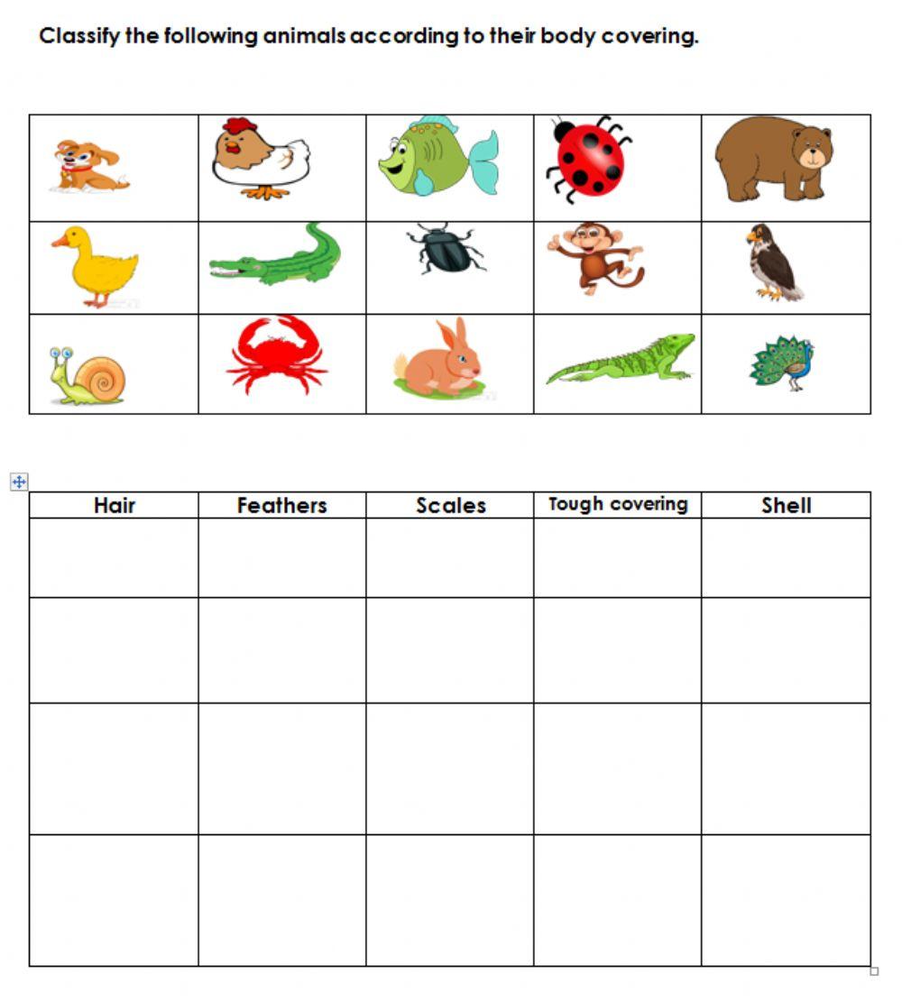 Body Covering of Animals