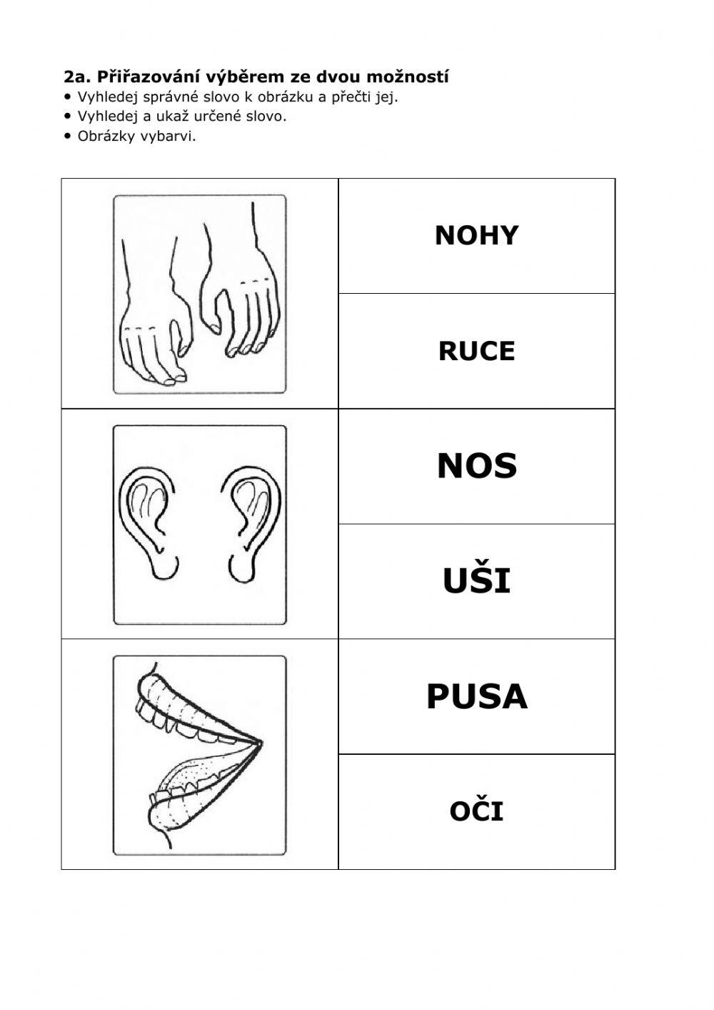 Globální čtení - části těla