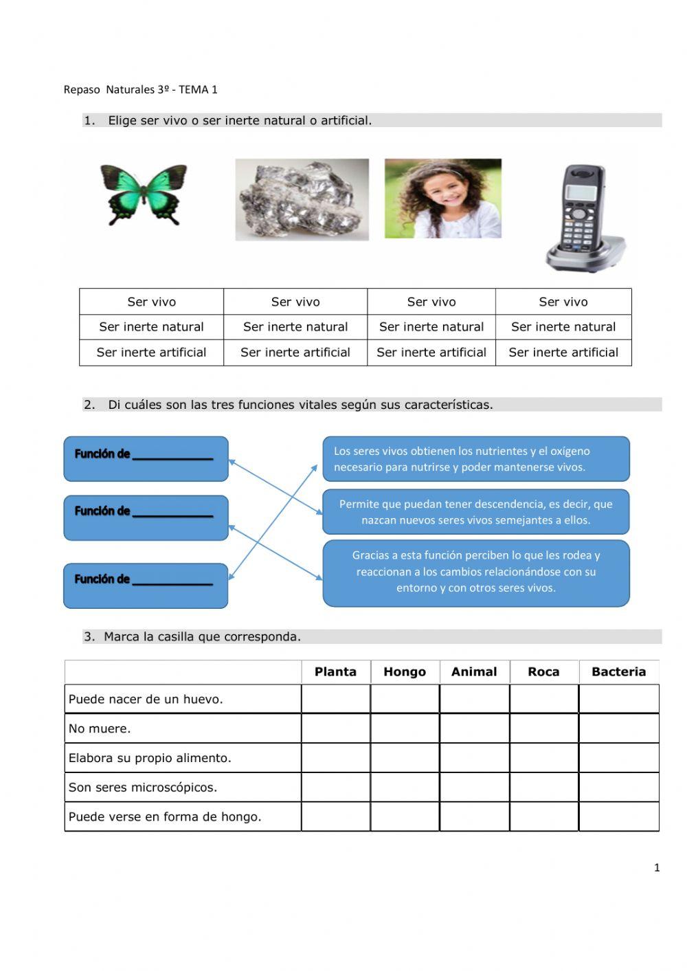 Repaso tema 1 naturales (3º)