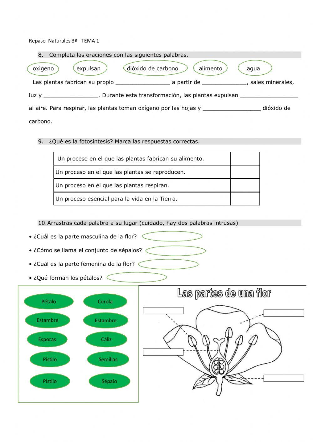Repaso tema 1 naturales (3º)