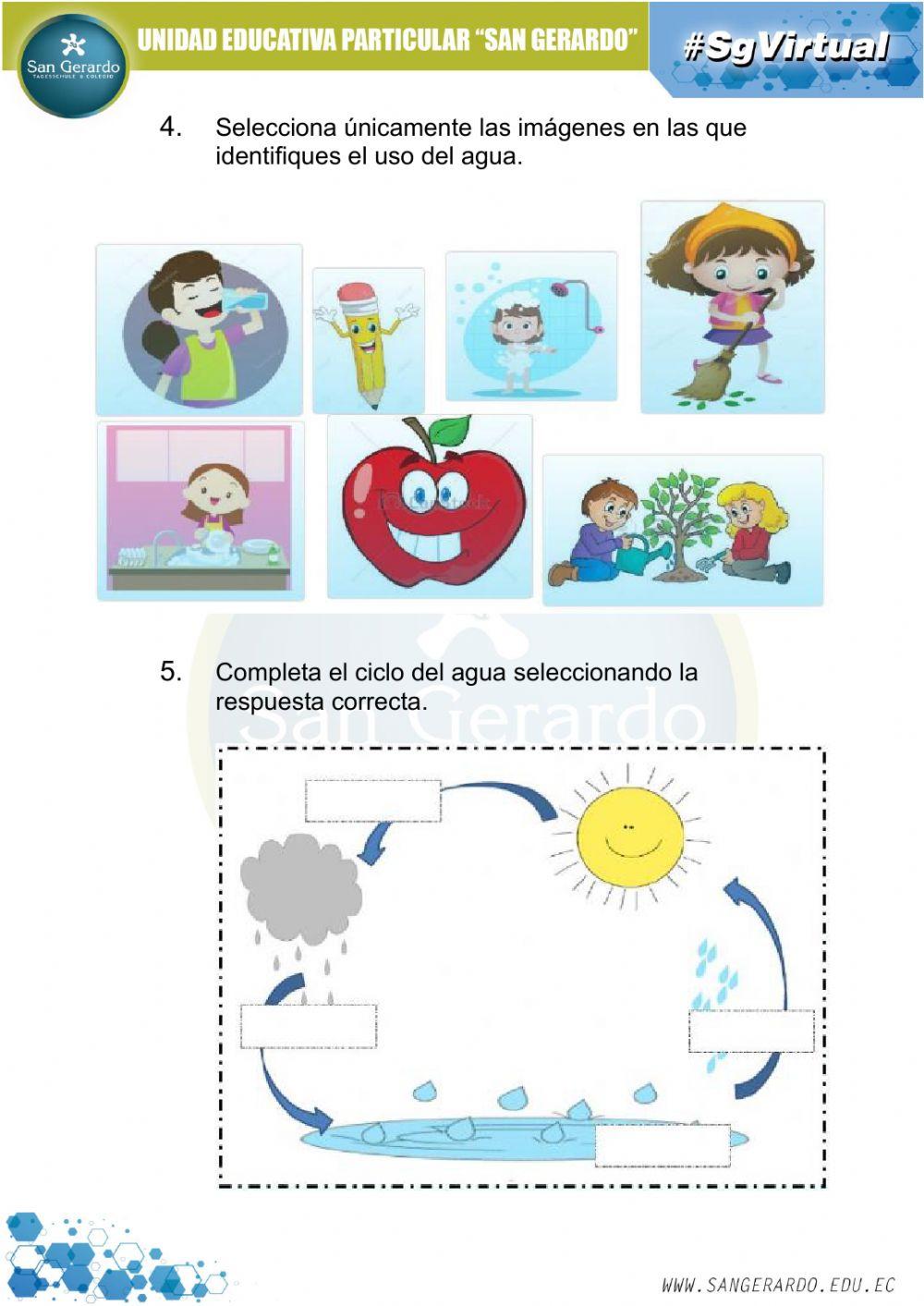 Reforzando contenidos 1P