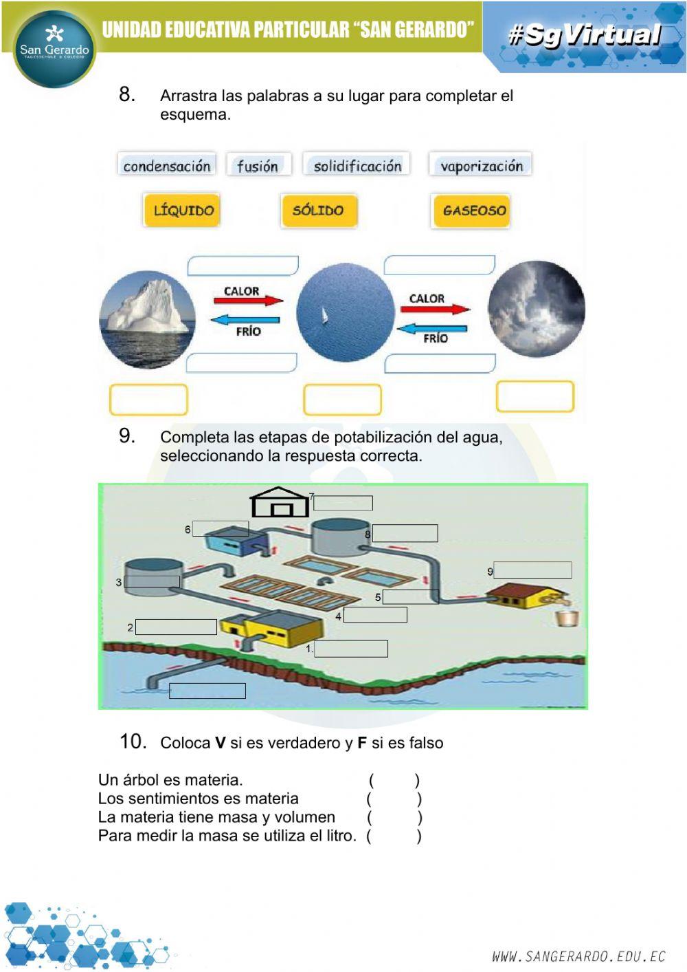 Reforzando contenidos 1P