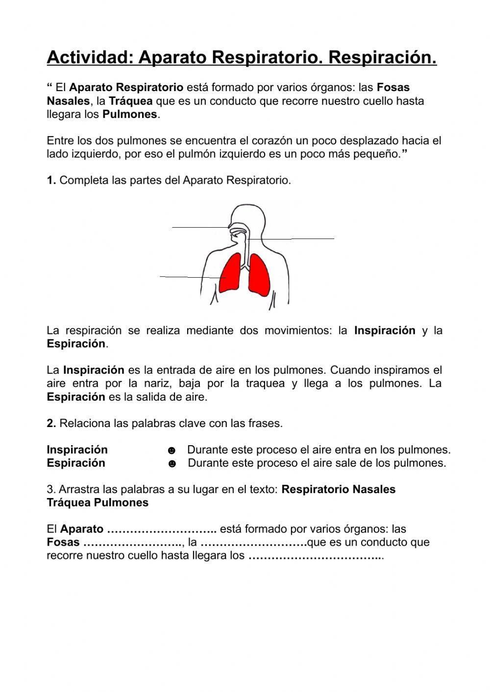 Aparato Respiratorio
