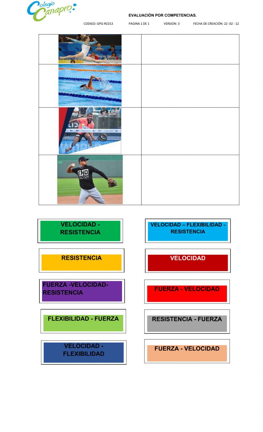 Evaluación de décimo
