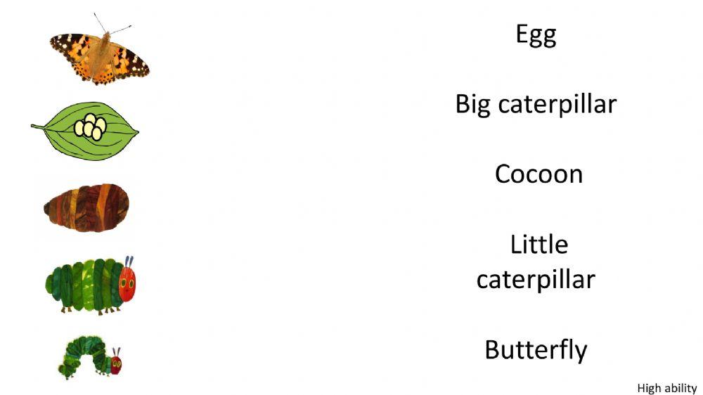 The very hungry caterpillar