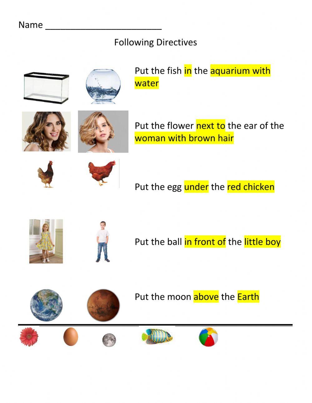 Following directions (2)