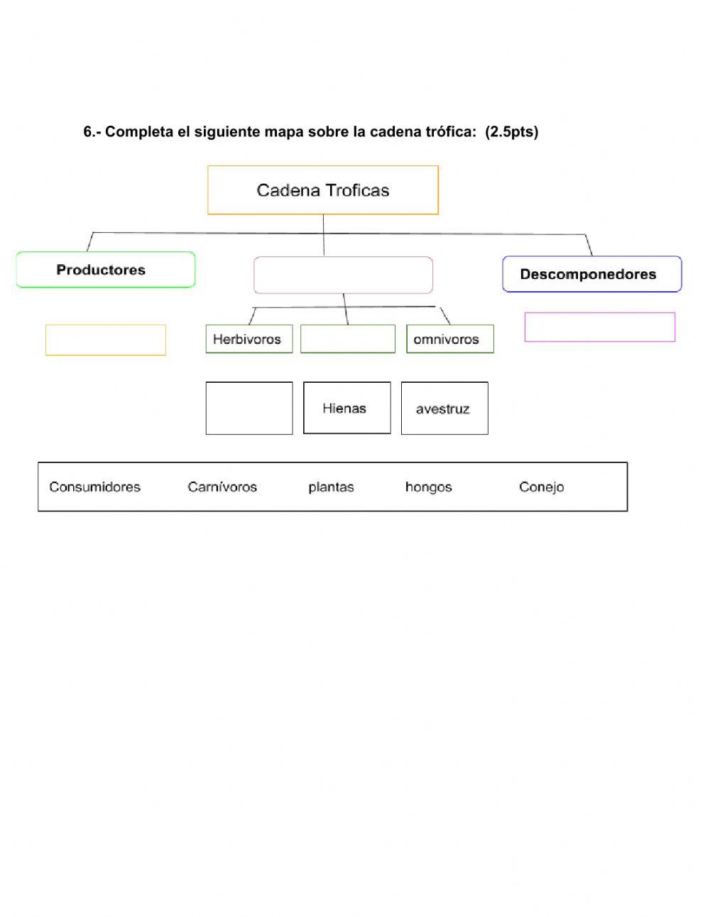 Ticket de Salida: cadena, red y piramide troficas