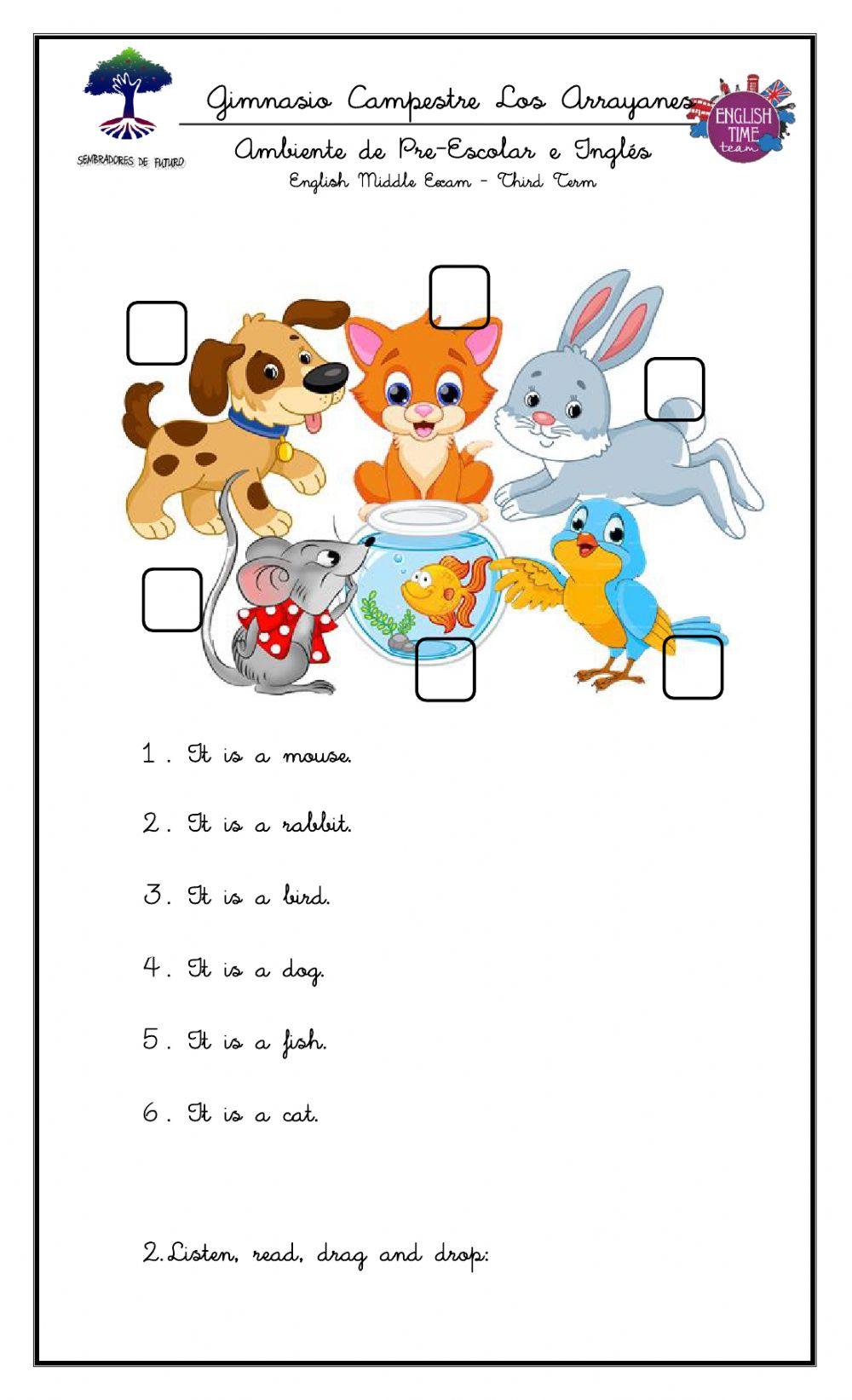 English - Third Term Final Exam Pre Kinder