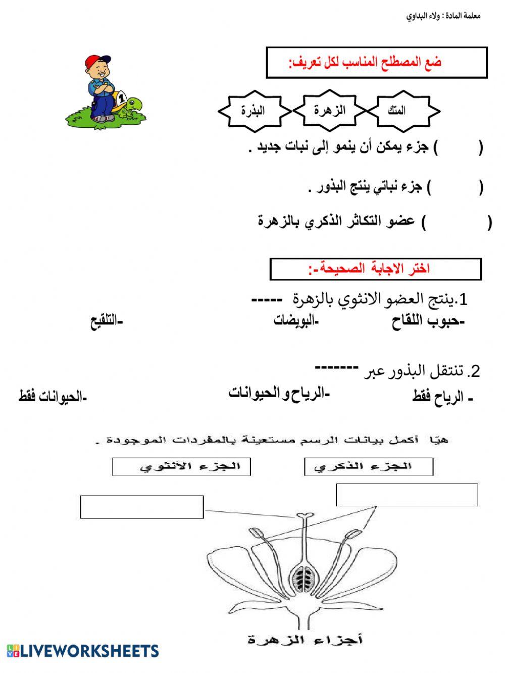 الزهرة