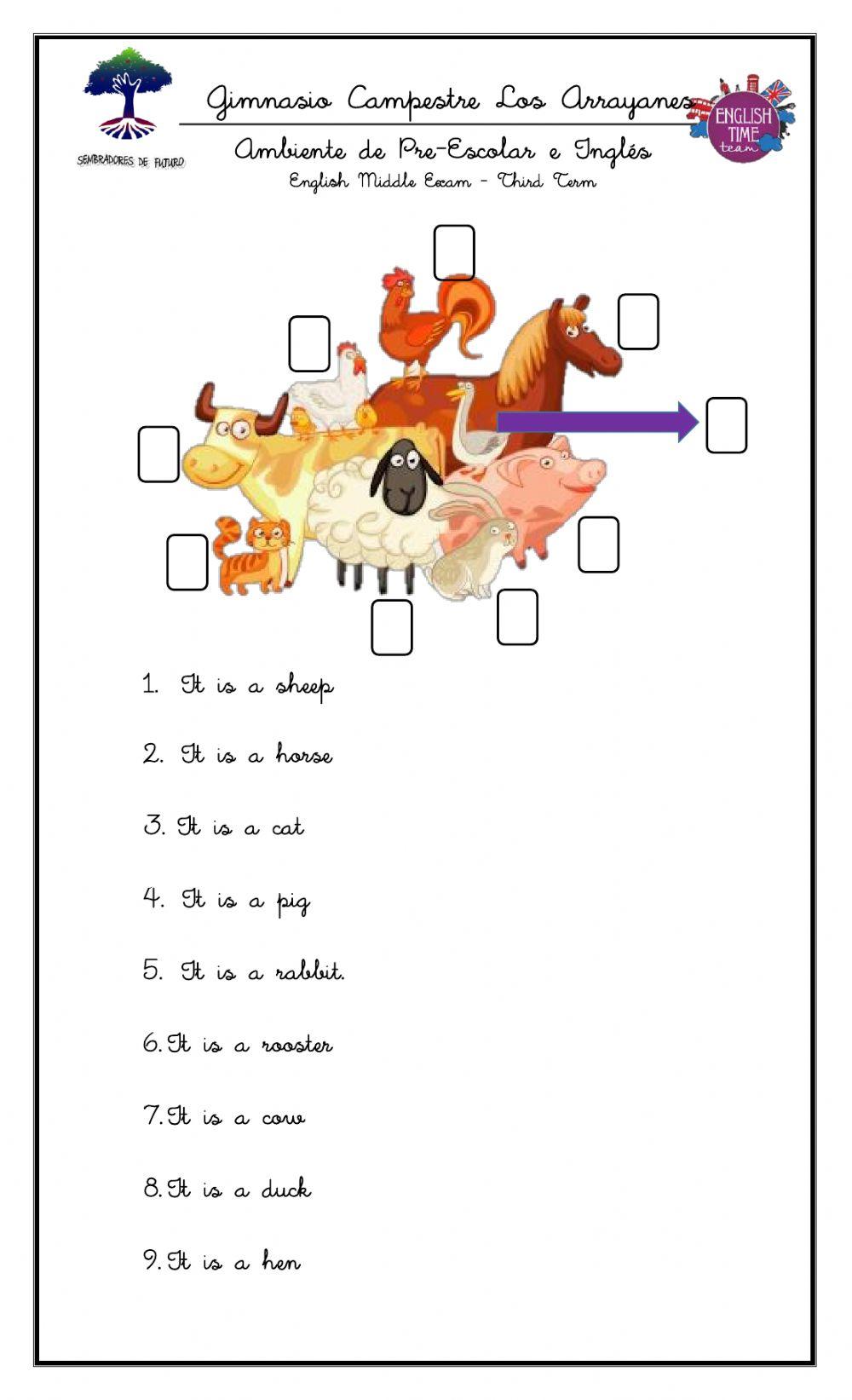 English - Third Term Final Exam Transition