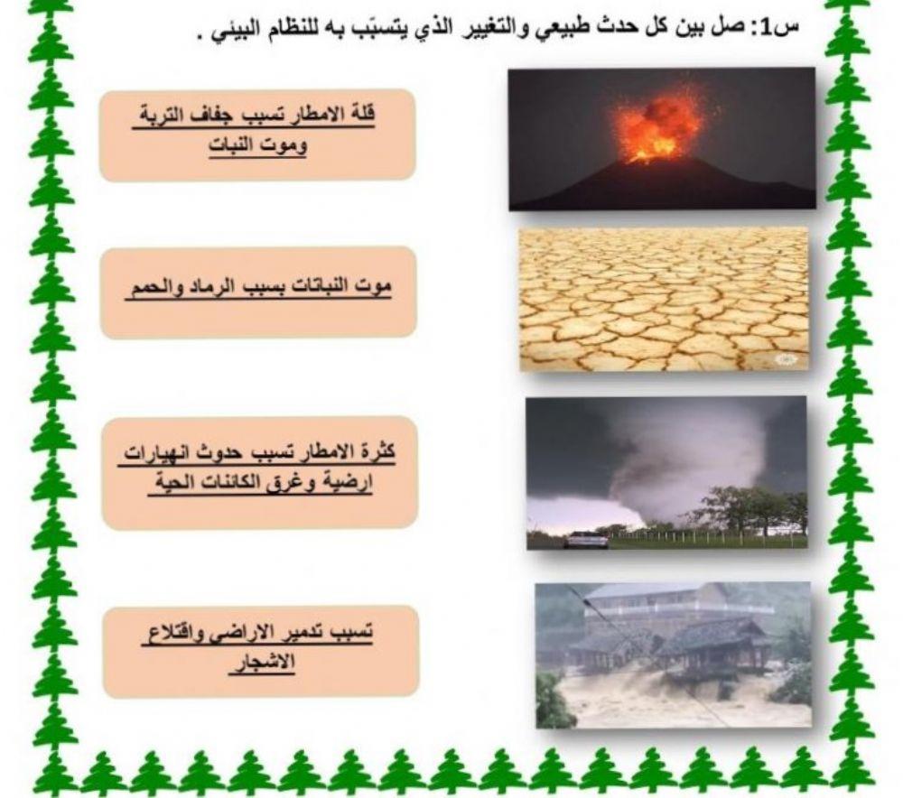 النظام البيئي