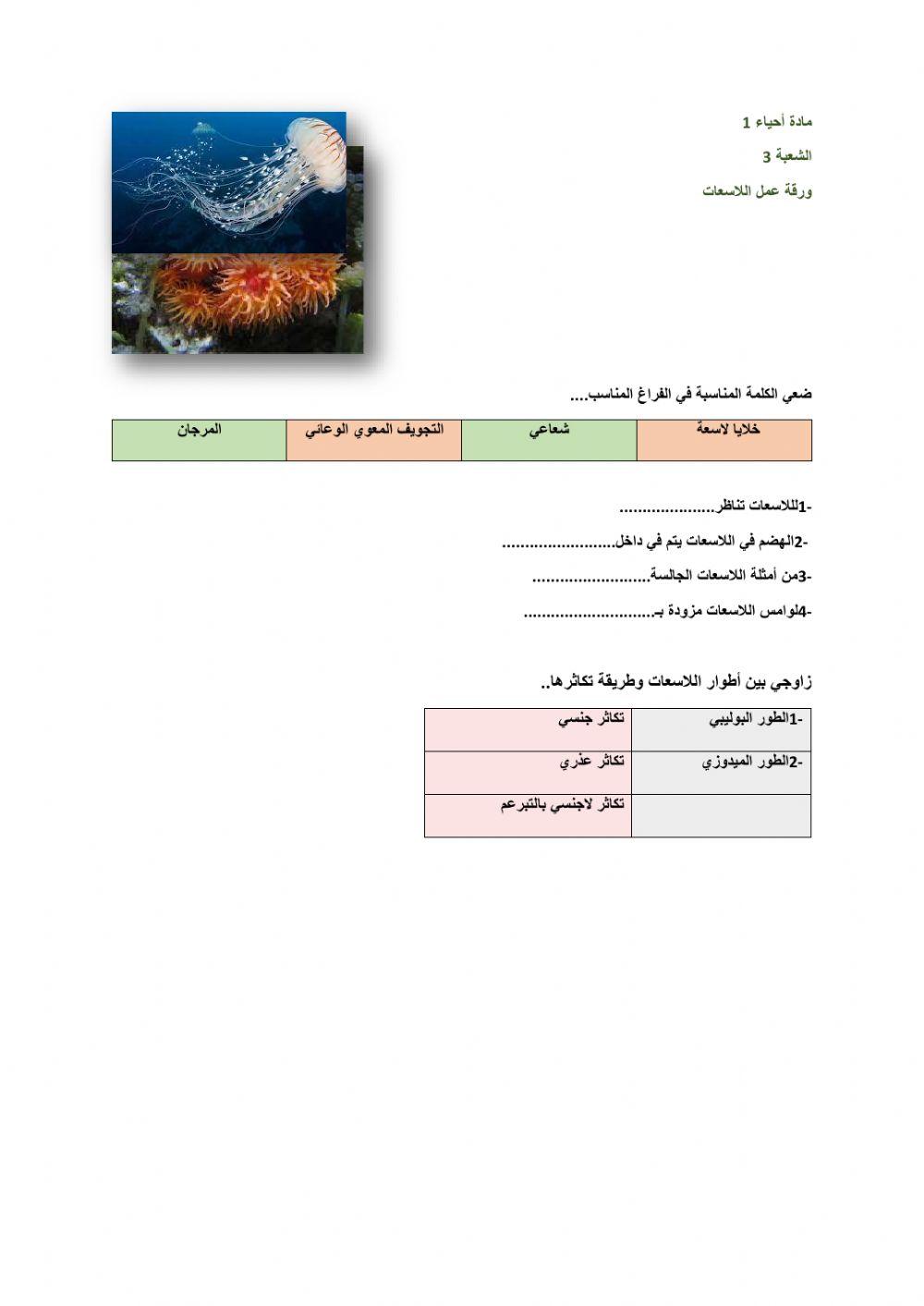 ورقة عمل اللاسعات