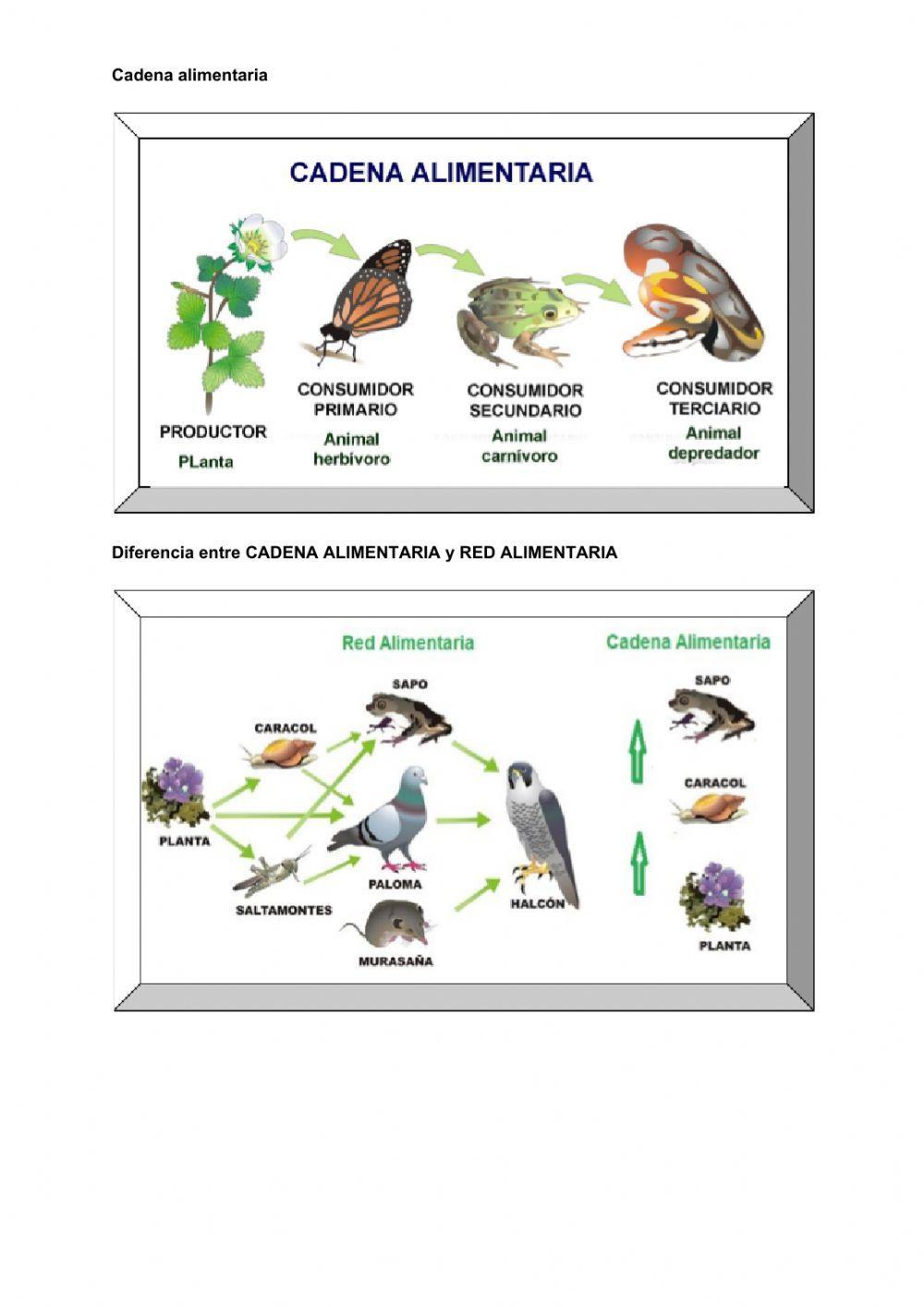 Las relaciones alimentarias