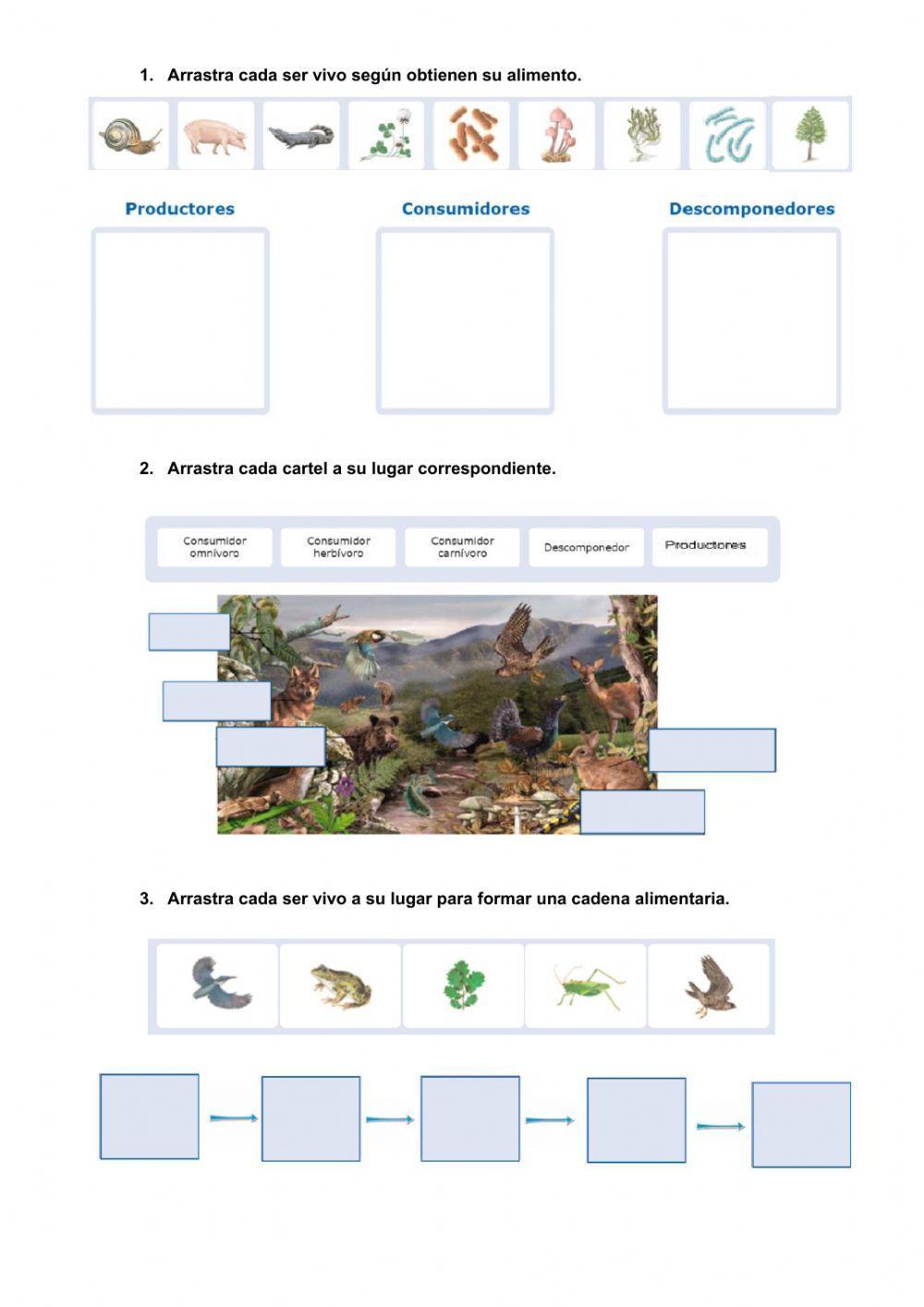 Las relaciones alimentarias