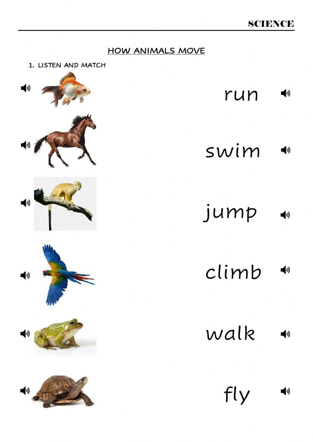 487364 Animals movements and habitats