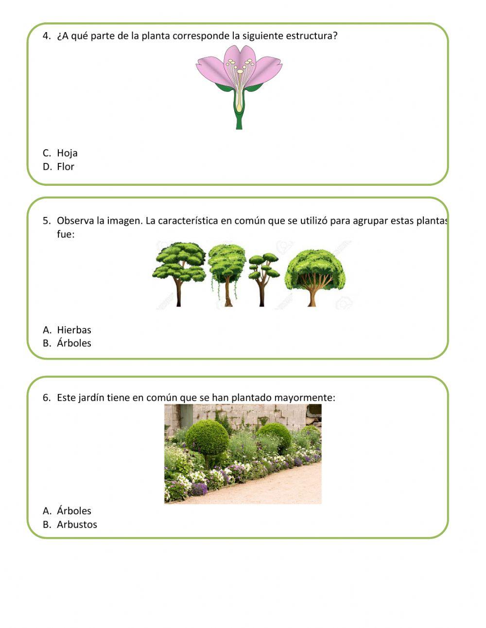 Prueba Unidad 3 Ciencias Naturales