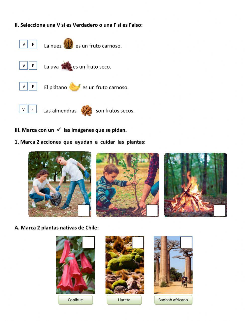 Prueba Unidad 3 Ciencias Naturales