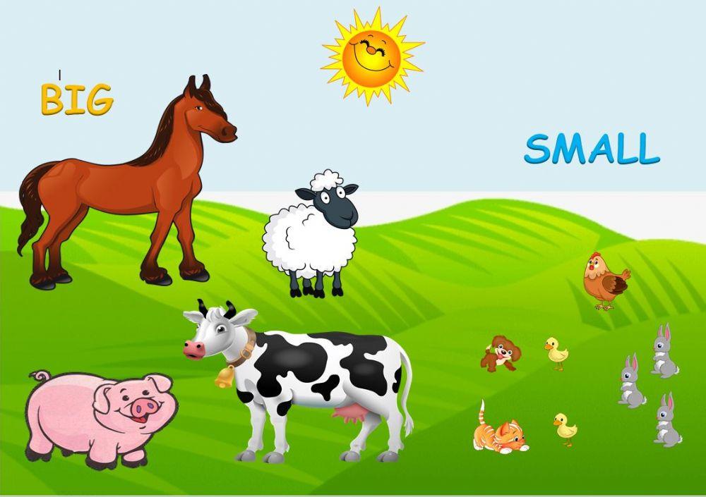 INFANTIL:  BIG and small